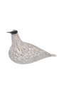Múrla glerfugl – lítill
