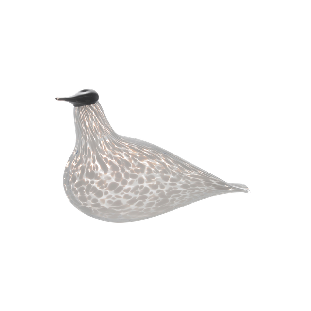Múrla glerfugl – lítill