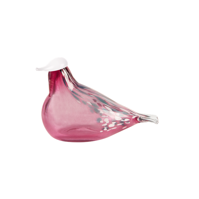 Múrla glerfugl – lítill