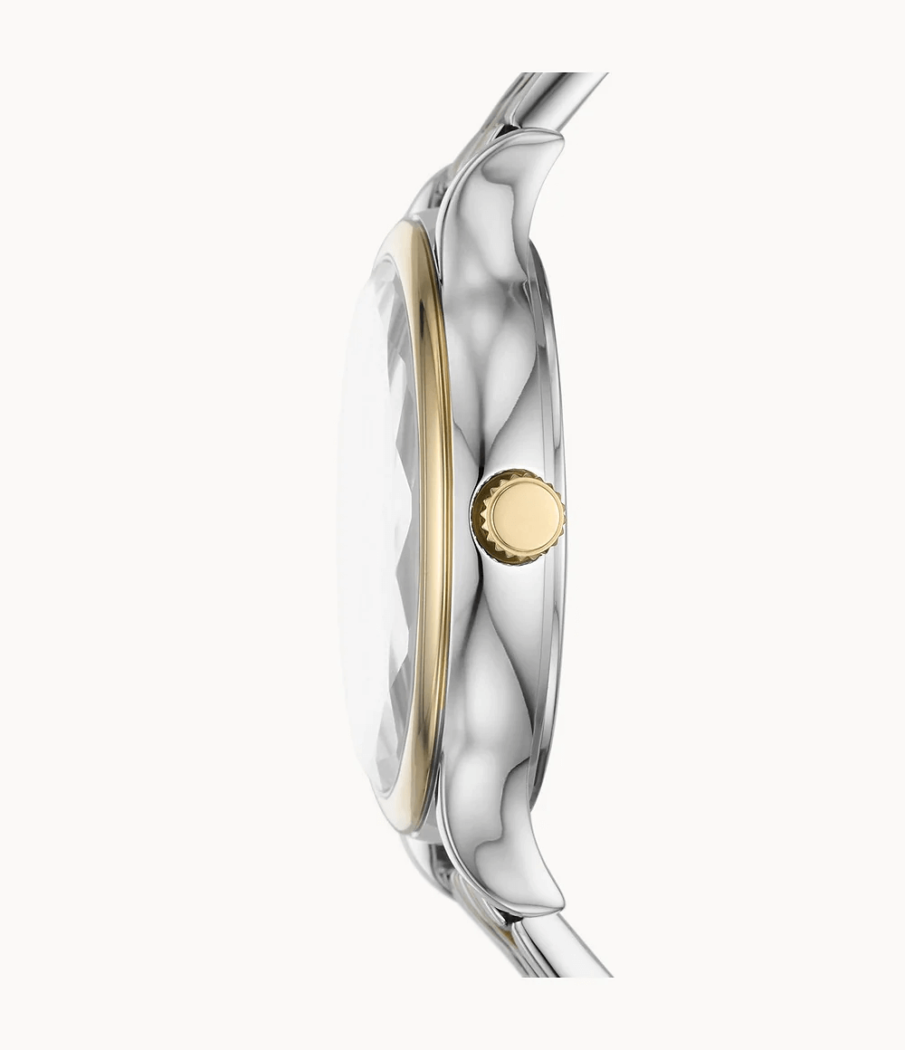 FOSSIL – DÖMUÚR – LANEY