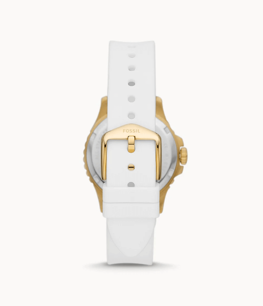 FOSSIL – DÖMUÚR – FB-01