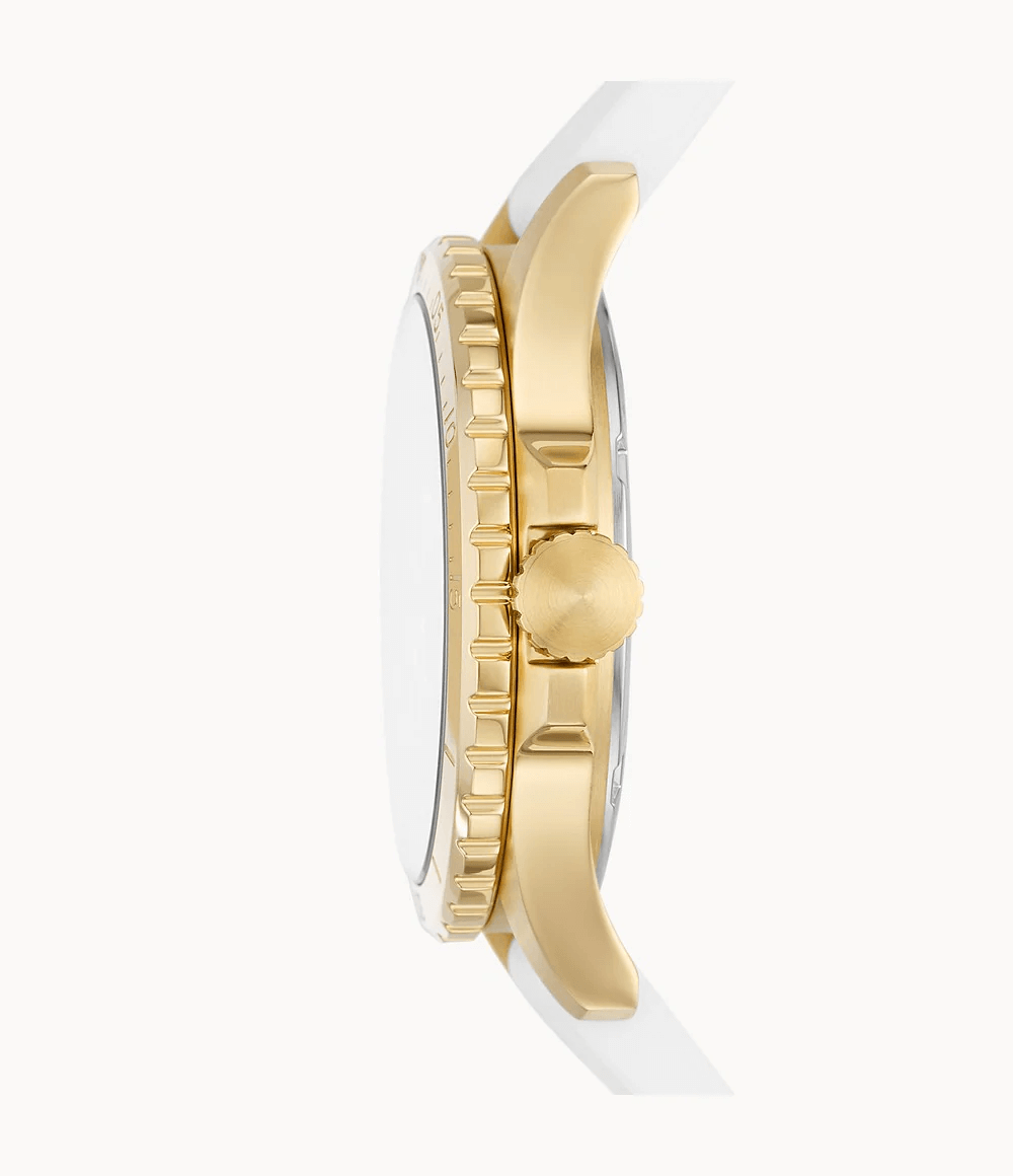 FOSSIL – DÖMUÚR – FB-01