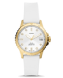 FOSSIL – DÖMUÚR – FB-01