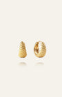 Honey Hoops Medium