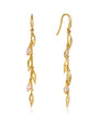 EYRNALOKKAR CAPE GRANDE DIVINE
