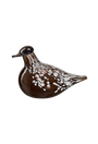Múrla glerfugl – lítill