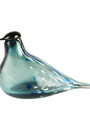 Múrla glerfugl – stór