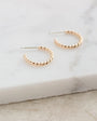 Twist Hoops