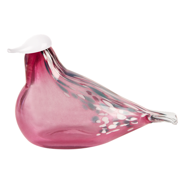 Múrla glerfugl – stór