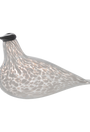 Múrla glerfugl – stór