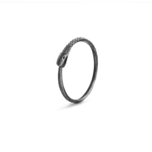 Orrifinn - Ouroboros - Hringur