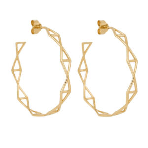 Fly 4 – Eyrnalokkahringir stórir