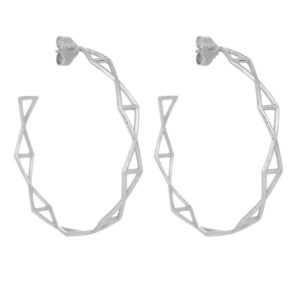 Fly 4 – Eyrnalokkahringir stórir