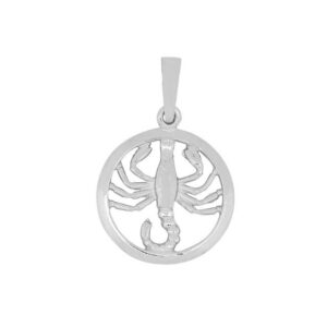 Stjörnumerki - Silfur - 15 mm