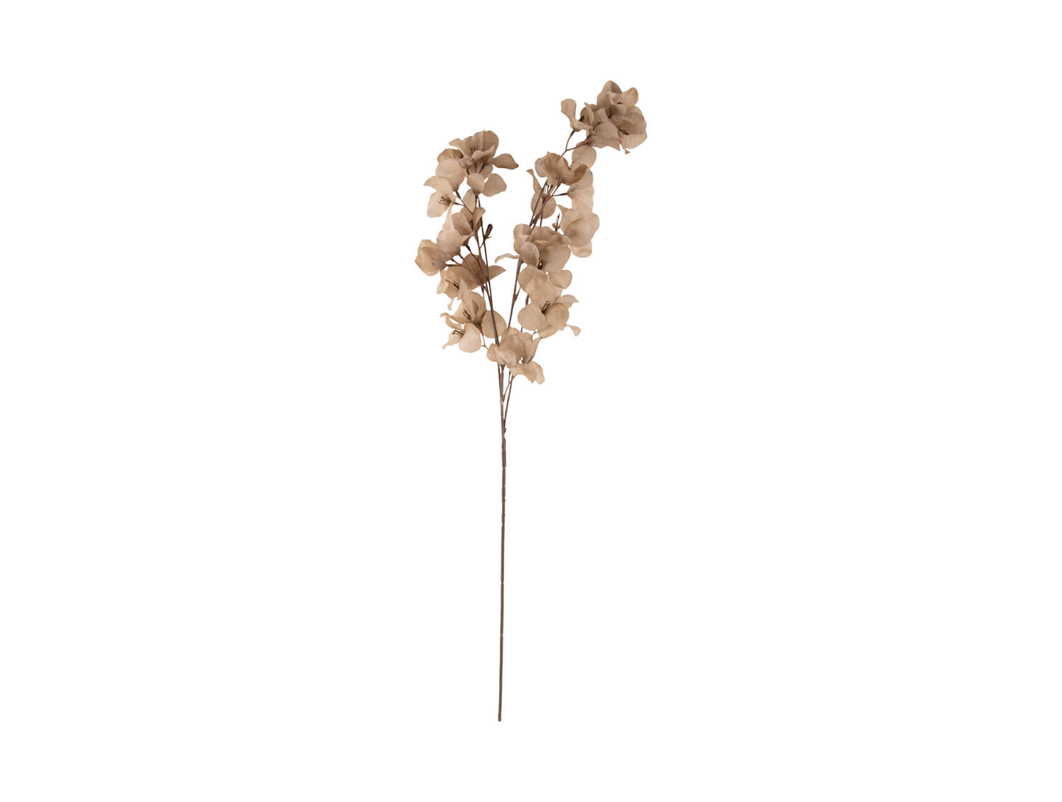 GERVIBLÓM – GRÁTT