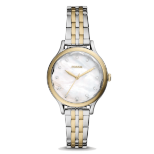 FOSSIL – DÖMUÚR – LANEY