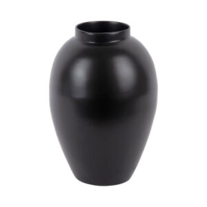 VASI – Veraz – SVARTUR