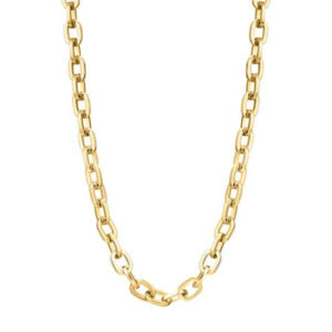 Stálkeðja – Gylluð – Glans