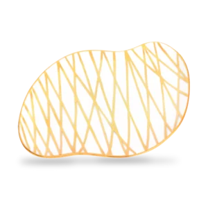 DISKUR-FROST-GYLLTUR