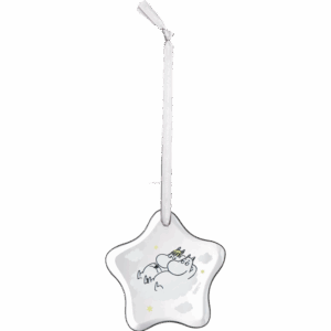 Jólaskraut – Snáði og stelpa – Gler