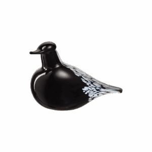 Muurla glerfugl - lítill