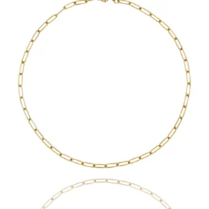 Charm Clip Chain Necklace (gyllt stál)