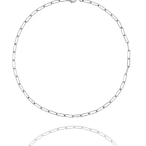 Charm Clip Chain Necklace (Stál)