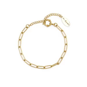 Charm Clip Chain Bracelet (gyllt stál)